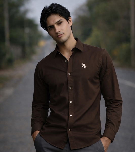 Premium luxury shirts that combine elegant style, a sharp silhouette, and confident professional wear.