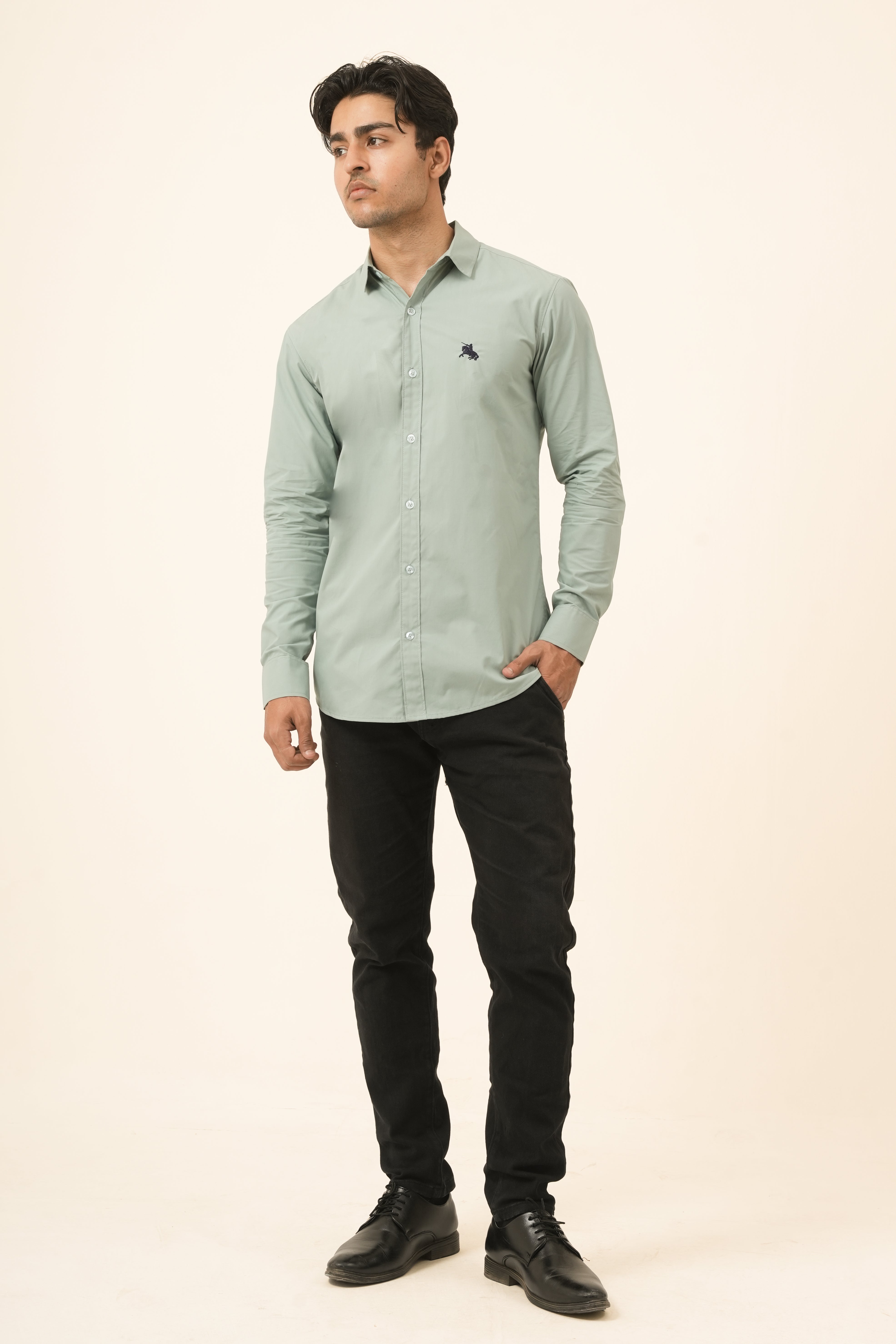 Mint Green Minimal Shirt - Formal Fit